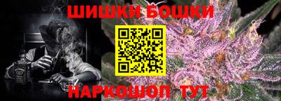 стаф Гатчина