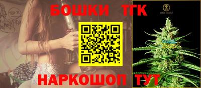 стаф Гатчина