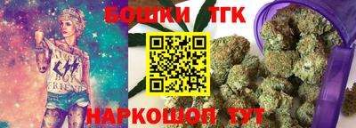 стаф Гатчина