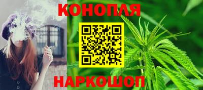 стаф Гатчина