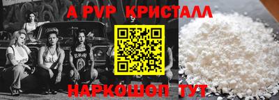стаф Гатчина