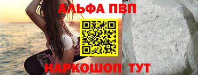 стаф Гатчина