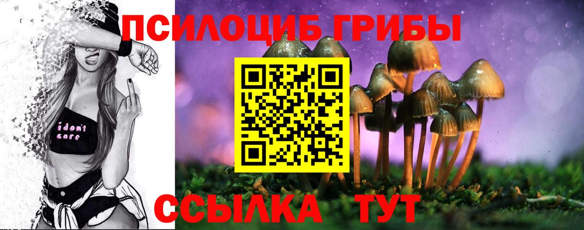 Псилоцибиновые грибы GOLDEN TEACHER Ишим