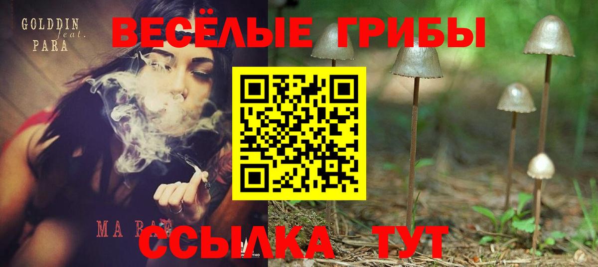 Ишим  Псилоцибиновые грибы Magic Shrooms  Вход с VPN 